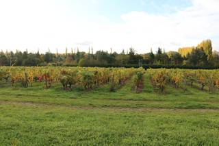 Terroir Adventure Travel - 7