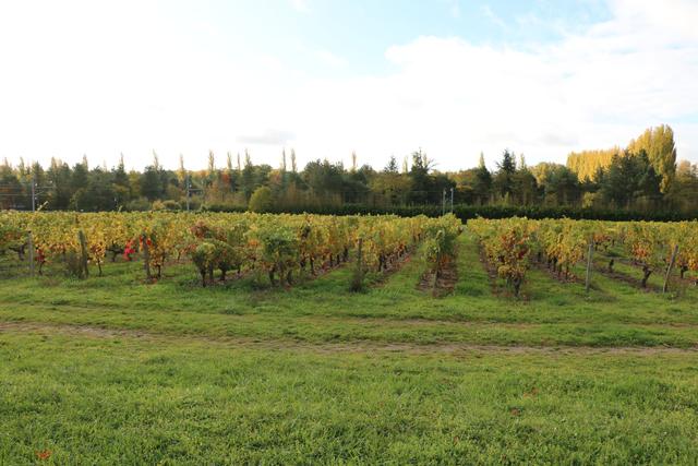 Terroir Adventure Travel - 3