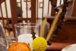 Blooms - 10