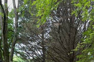 Hawkesdene - 5