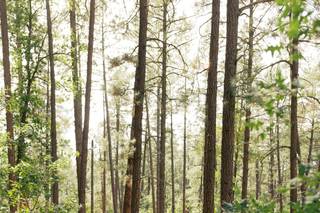 CampWay - 8