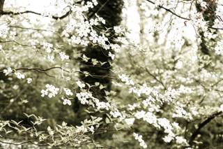Zelle Duda Photography - 10