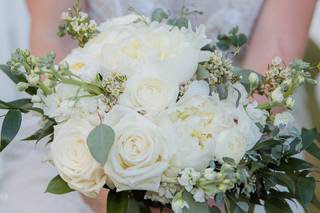 Tom Nicol Photography - 8