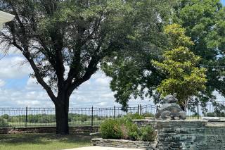 Bison Ranch and Retreats - 7
