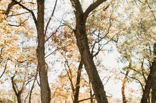 Vera's House of Bridals - 17