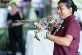 San Diego Zoo Wildlife Alliance - 105