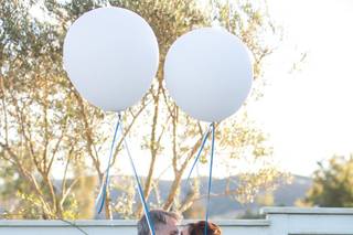Suzanne Karp Photography - 22