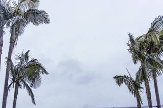 Brittany Bowen Photography - 7