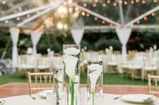 Enchanted Weddings and Events - 9