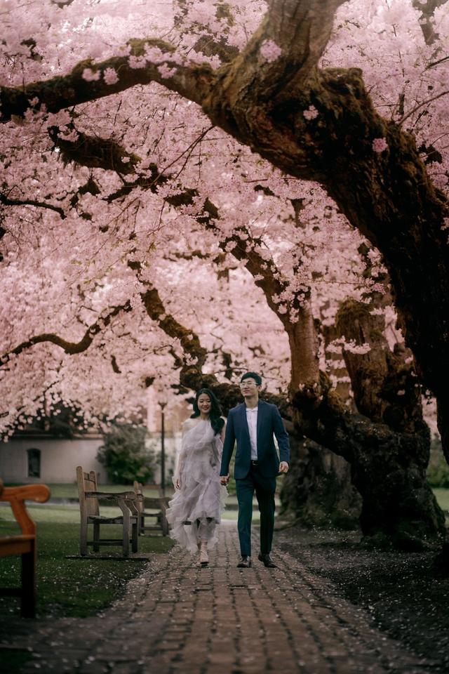 Oxy Sakagami Photography LLC - 4