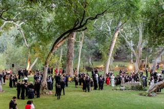 Sensational Events - 10