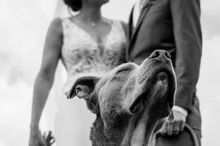 Derek DiLuzio Weddings - 29