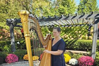 Chanah Ambuter, Michigan Harpist - 8