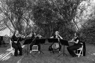 Bay Area Strings - 1