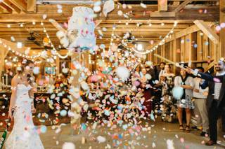 Darling D's Events - 19