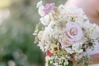 Anne Mientka Photography - 9