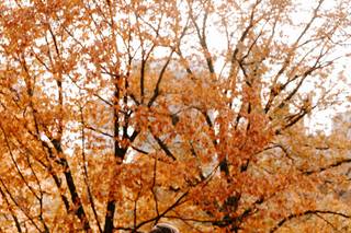 Kara McCurdy Photography - 12