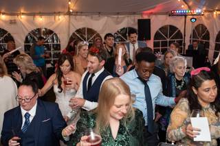 Wedding DJ in Manassas and Prince William County - 7