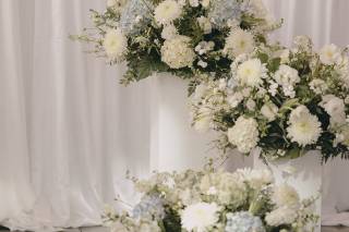 Surena Design - 8