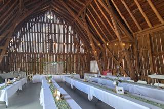 XOXO Wedding Rentals - 4