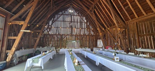 XOXO Wedding Rentals - 1