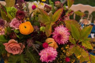 Chelsea Brooke Events - 16
