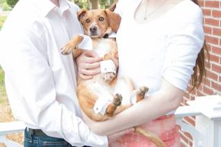 KatFour Photo - 6