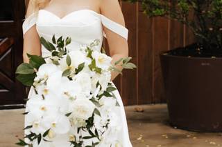 Taylor Salerno Photography - 24