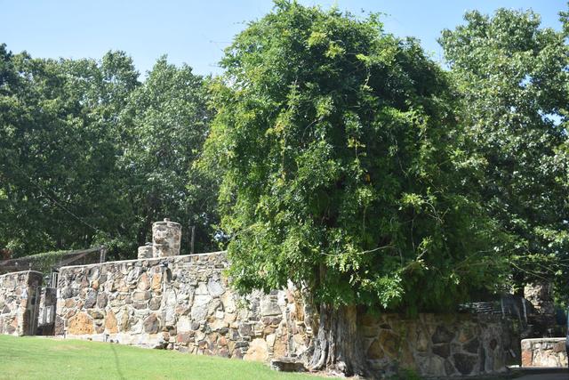 Lacey Michele's Castle - 1