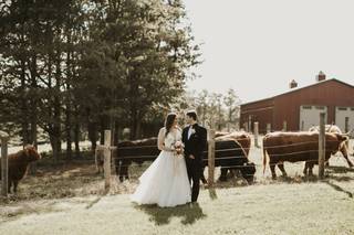 Tiffany's Bridal Boutique - 15