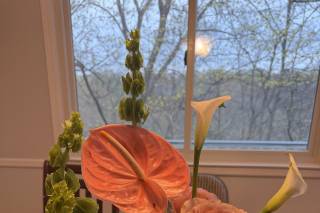 Storm and Stem - 8