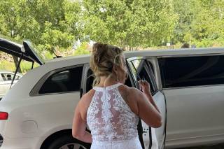 Ace Limousine & Airport Service - 7