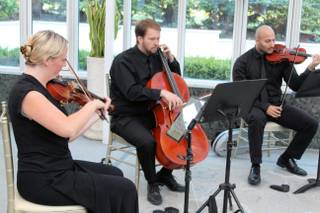 Ceremonious Strings - 12