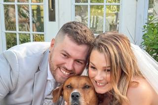 Harriet’s Hounds: Dog Walking & Pet Sitting - 6