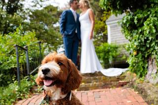 Allegro Photography - 19