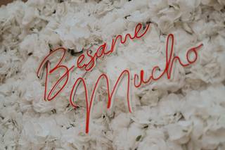 MSM Rentals & Event Design - 19