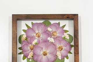 White Poppy Preservation - 25