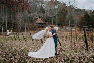 Bear Claw Vineyards & Winery, Inc. - 1
