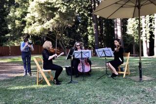 Corelli Strings - 11