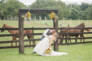 Jacqueline Binkley Photography - 8