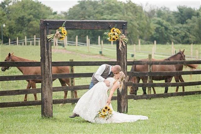 Jacqueline Binkley Photography - 3
