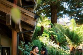 Apollo Fotografie {Photography & Videography} - 23