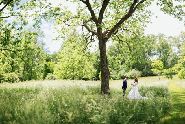 Paul Francis Photography - 1