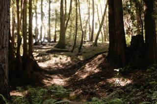 Nel Meerman Photography - 5