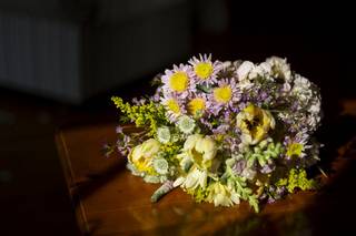 Emily Harding Photography - 5