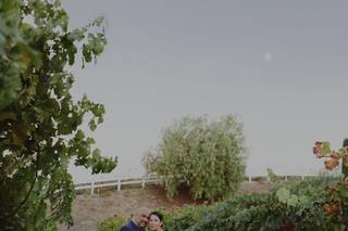 Finer Events.co - 18