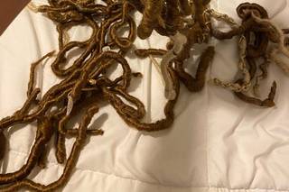 Unik Extensions - 7