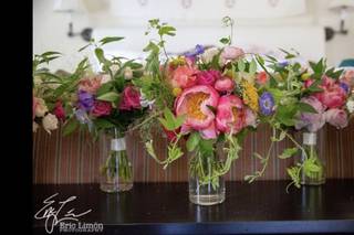Daisy Stone Studio - 49