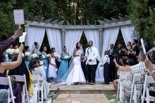 The Wedding Analyst - 8