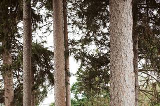 Katie Arnold Photography - 6